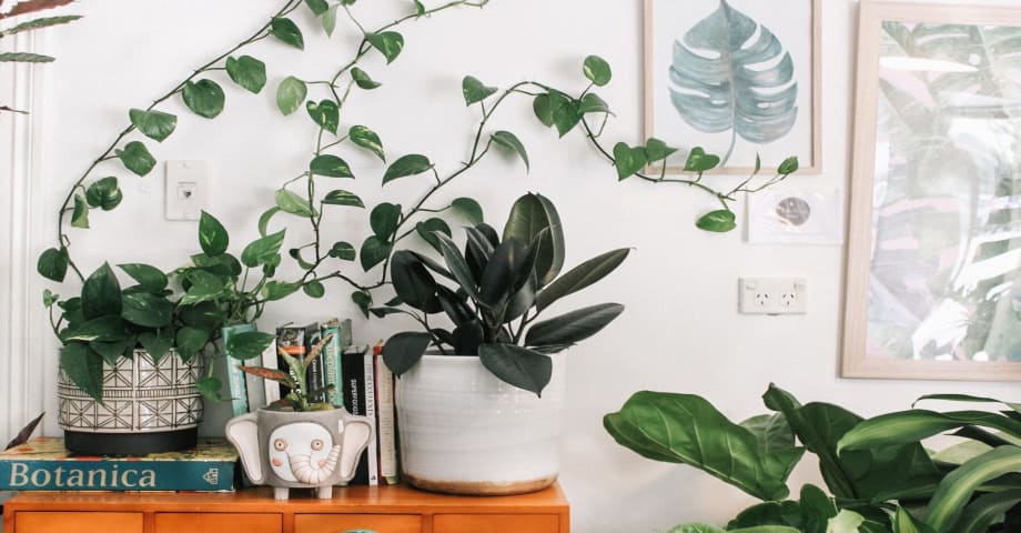 Bureau à domicile : de la verdure pour un meilleur environnement de travail